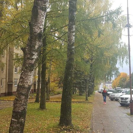Apartamentai Vilniaus Street Siauliai  Bagian luar foto